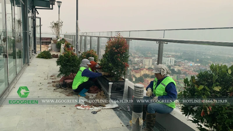 Chi phí cải tạo sân vườn cuối năm có đắt không? Báo giá & lời khuyên từ EGOGREEN